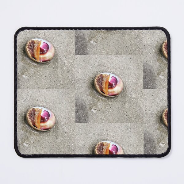 Item preview, Sea shell designed and sold by Deborah Rivera.