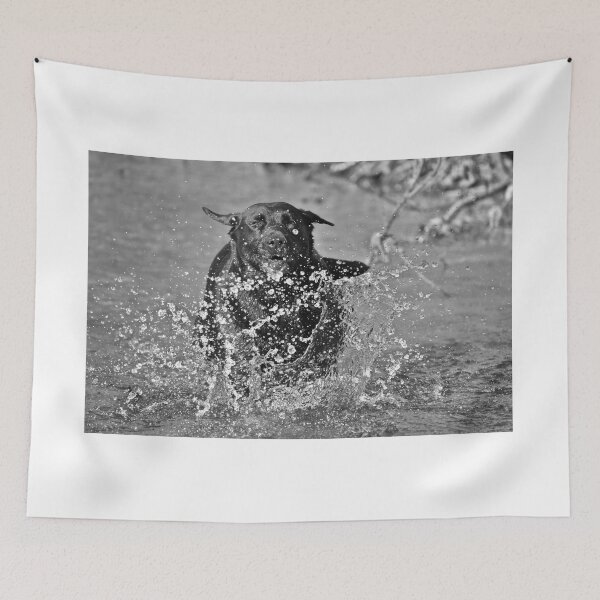 Item preview, Water Fun Black an White designed and sold by athousandwordss.