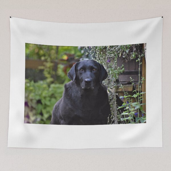 Item preview, Longing Eyes designed and sold by athousandwordss.