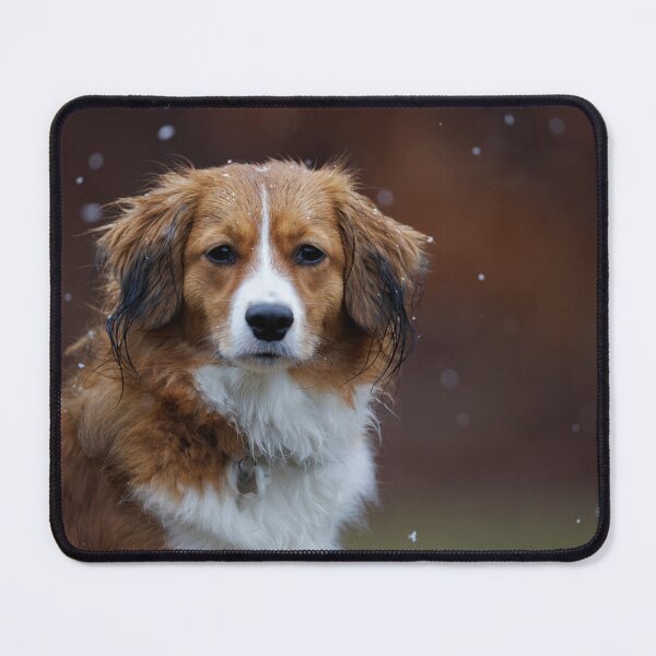 Item preview, Kenzie in the light snow designed and sold by Rob Lavoie.