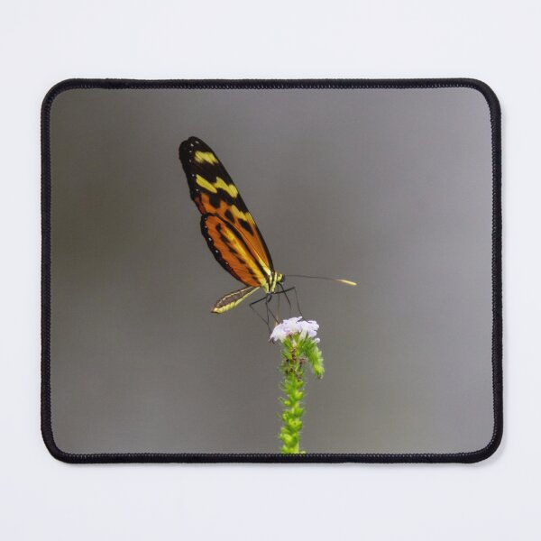 Item preview, the butterfly on the flower designed and sold by ricobarinas.