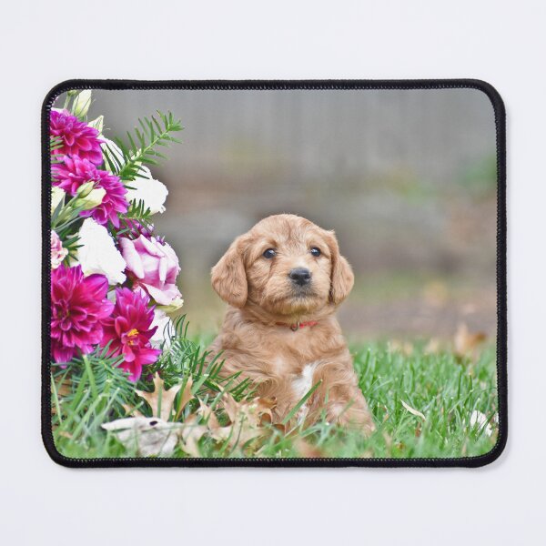 Item preview, Puppy Portrait designed and sold by athousandwordss.