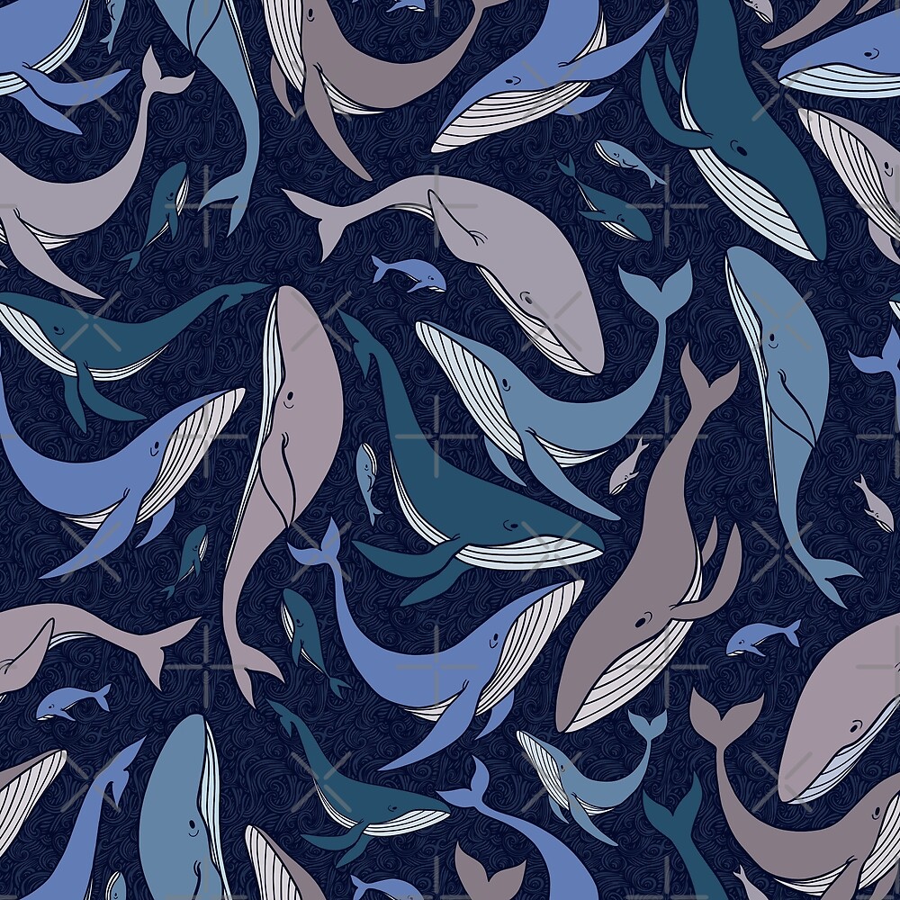 school-of-whales-by-elena-naylor-redbubble