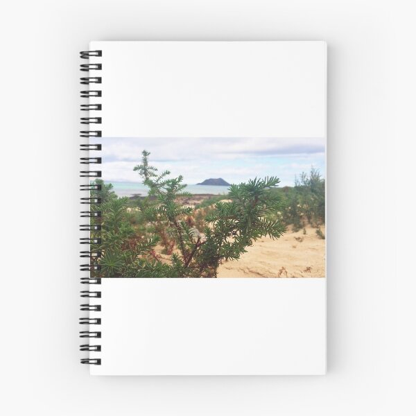 Item preview, CORRALEJO , FUERTEVENTRUA designed and sold by ARTBYJMD.