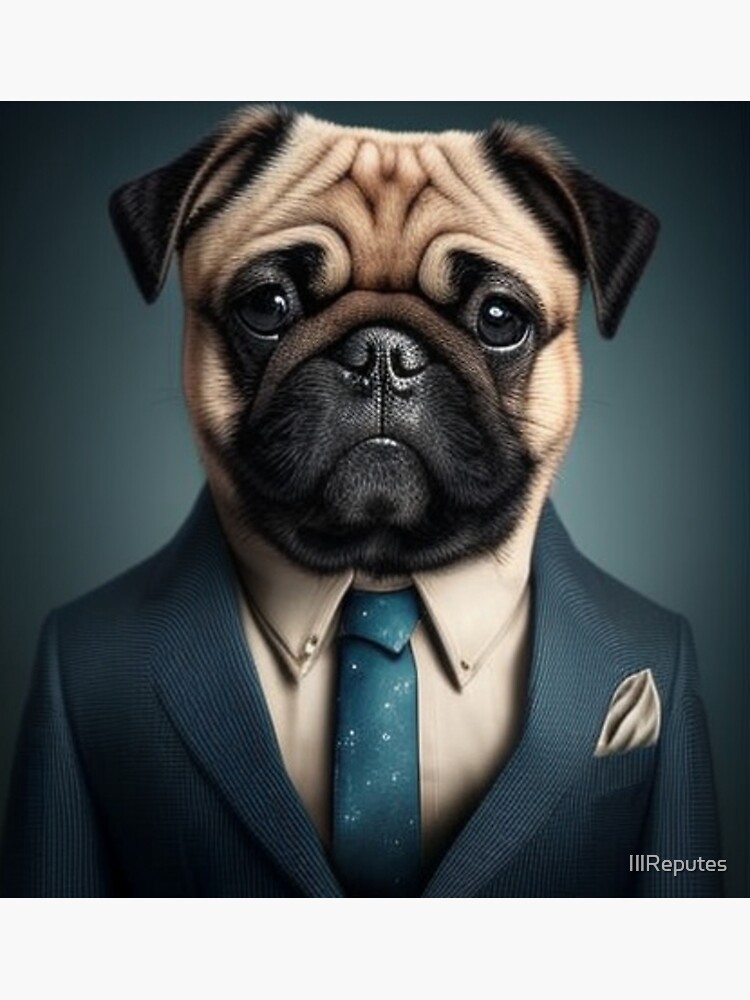 Pug suit sale and tie