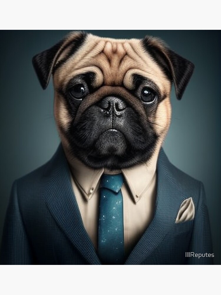 Pug in cheap a suit