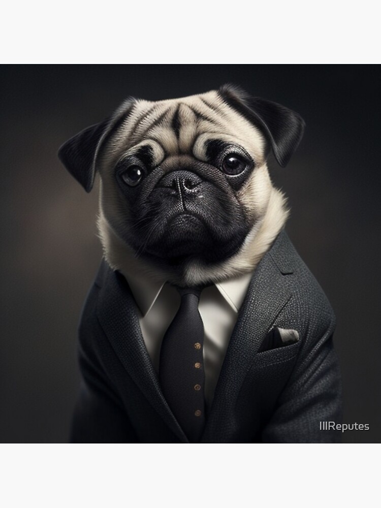 Pug in a Suit