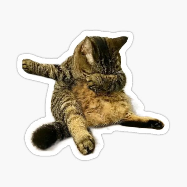 Dab Cat Royalty-Free Images, Stock Photos & Pictures