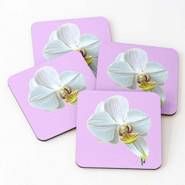 Item preview, White orchid flower designed and sold by gramizzia.
