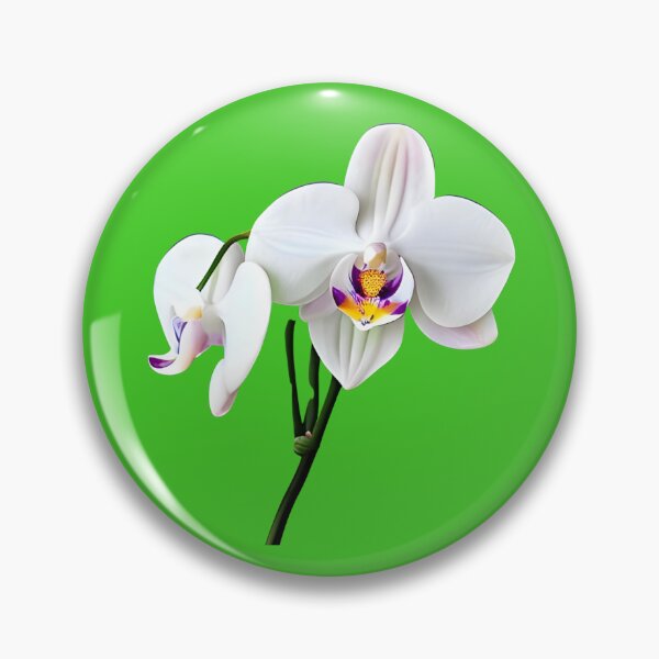 Item preview, White orchid flower designed and sold by gramizzia.