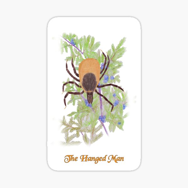 The Hanged Man Sticker
