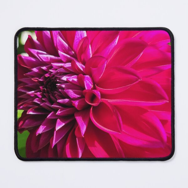 Item preview, Bright Purple Dahlia designed and sold by crazyclover.