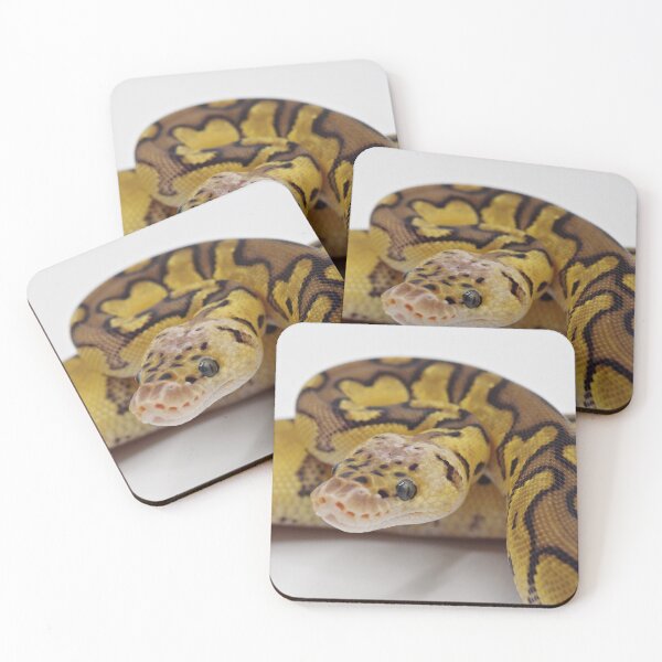 Item preview, Pastel Clown Het DG Ball Python designed and sold by Kayleigh Wilson.