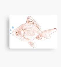Goldfish Canvas Print