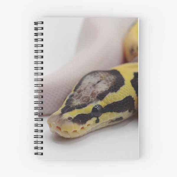 Item preview, Pastel DG Pied Ball Python designed and sold by Kayleigh Wilson.