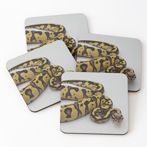 Item preview, Firefly Het DG Ball Python designed and sold by Kayleigh Wilson.