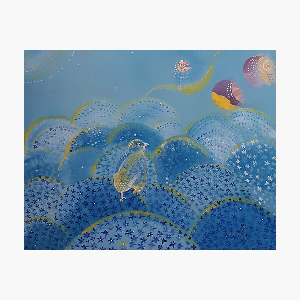Blue little bird Photographic Print