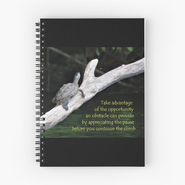Item preview, Appreciating the Pause designed and sold by JoanneKenney.