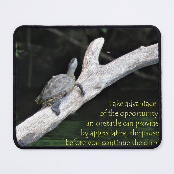 Item preview, Appreciating the Pause designed and sold by JoanneKenney.