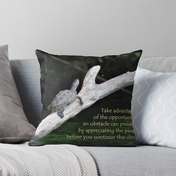 Item preview, Appreciating the Pause designed and sold by JoanneKenney.