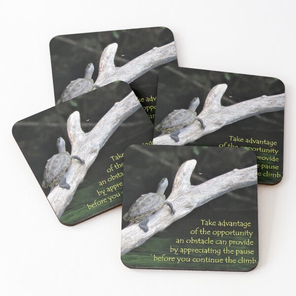 Item preview, Appreciating the Pause designed and sold by JoanneKenney.