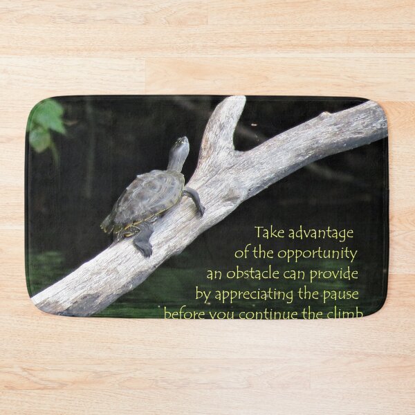 Item preview, Appreciating the Pause designed and sold by JoanneKenney.