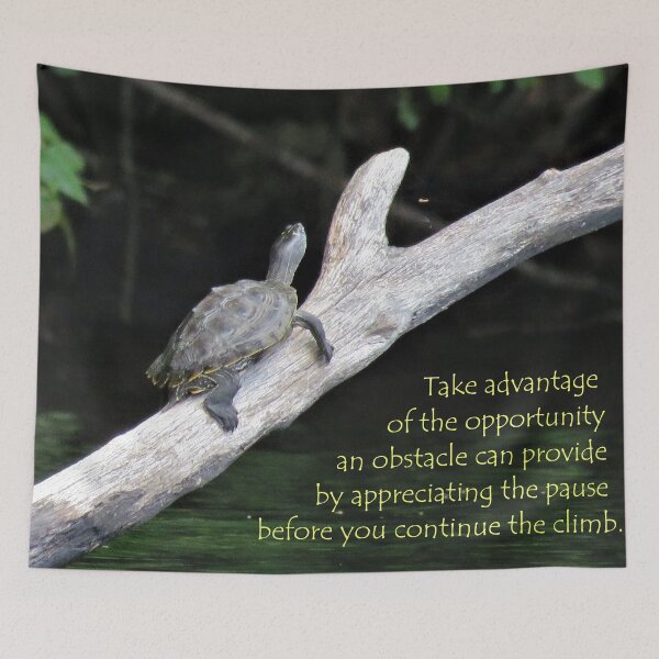 Item preview, Appreciating the Pause designed and sold by JoanneKenney.