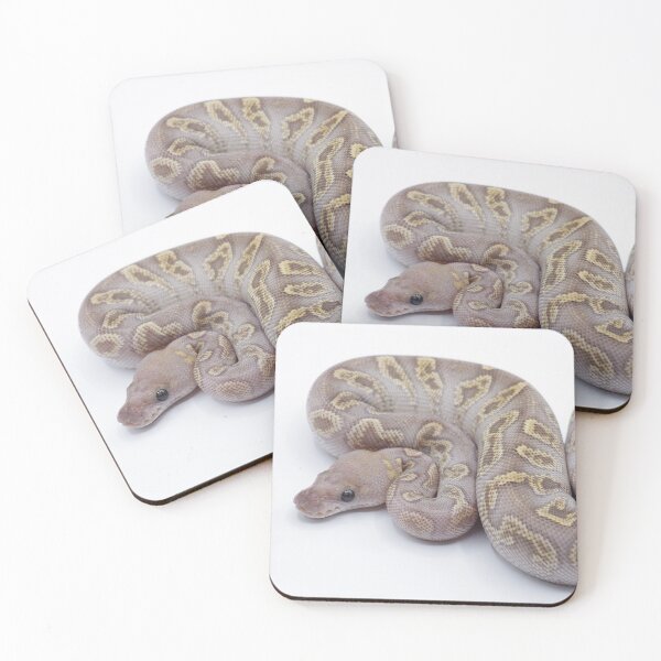 Item preview, GHI Mojave Clown Ball Python designed and sold by Kayleigh Wilson.
