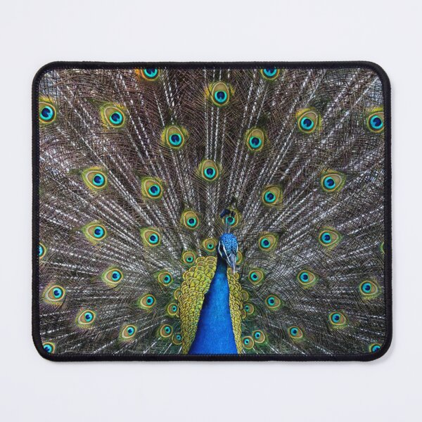 Item preview, Peacock bird with tail feathers on full display. designed and sold by claireseyeview.