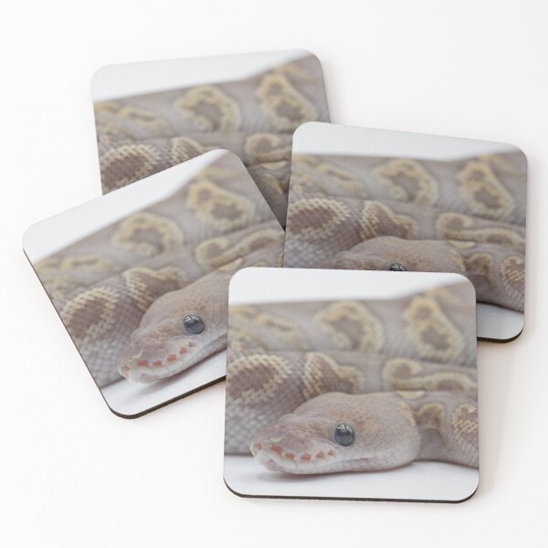 Item preview, GHI Mojave Clown Ball Python designed and sold by Kayleigh Wilson.