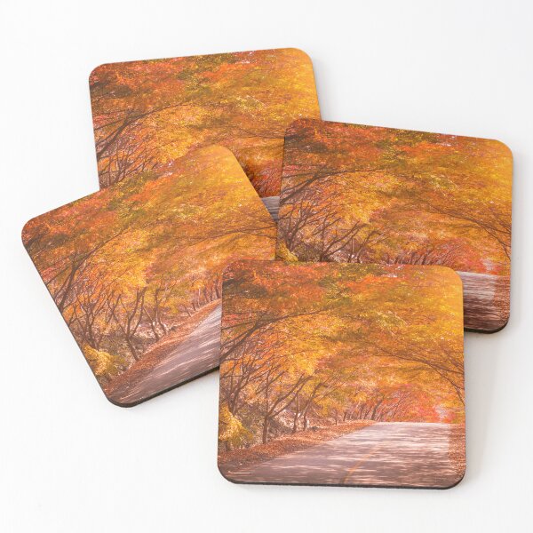 Item preview, Autumn Korean Maple Tree Park designed and sold by JTS STORE.