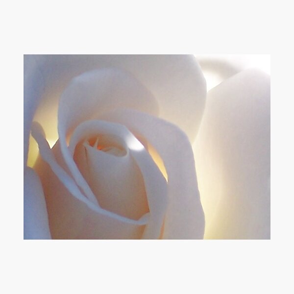 Item preview, Sunlit  designed and sold by Shaina Haynes.