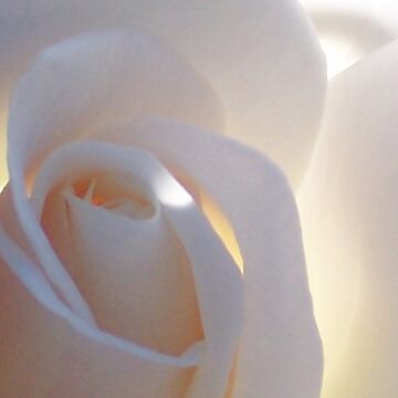 Artwork thumbnail, Sunlit by Shaina Haynes