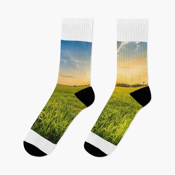 Item preview, Beautiful Environment Landscape With Sunrise designed and sold by JTS STORE.