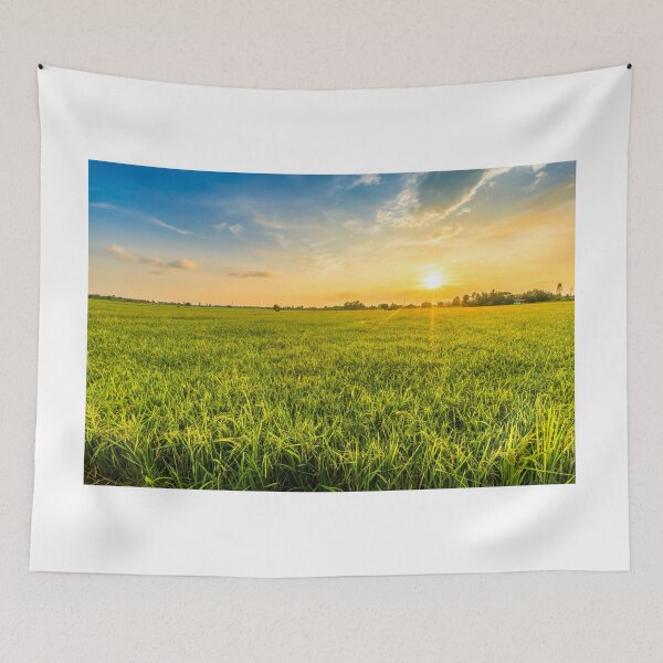 Item preview, Beautiful Environment Landscape With Sunrise designed and sold by JTS STORE.