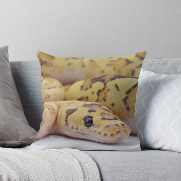 Item preview, Disco Inferno Clown Ball Python designed and sold by Kayleigh Wilson.
