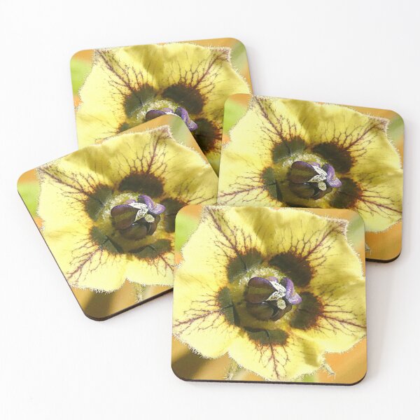 Item preview, Physalis Flower designed and sold by angel1.