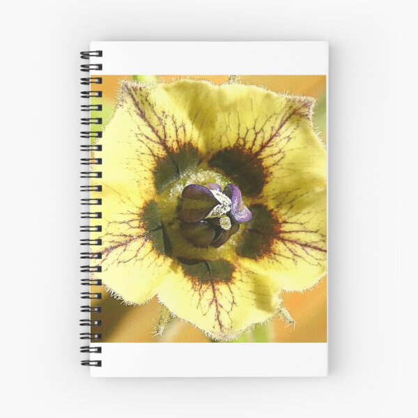 Item preview, Physalis Flower designed and sold by angel1.