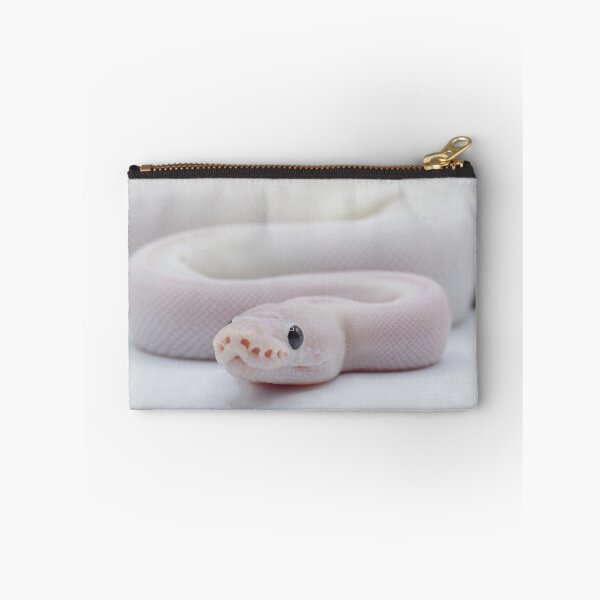 Item preview, Ivory Ball Python designed and sold by Kayleigh Wilson.
