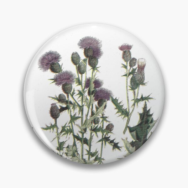Item preview, Canada Thistle designed and sold by Ashleigh Bell.