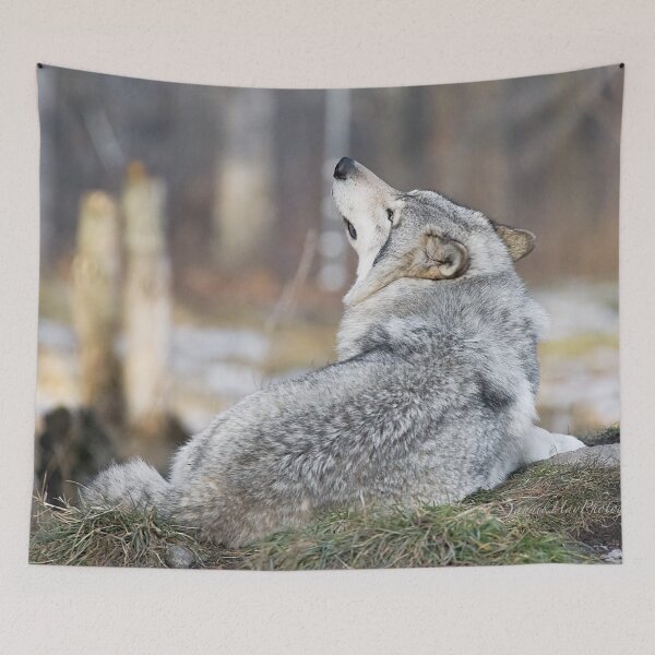 Item preview, Wolf Sniffing the Air designed and sold by Yannik Hay.