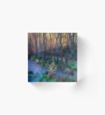 River Devon in Clackmannan Acrylic Block