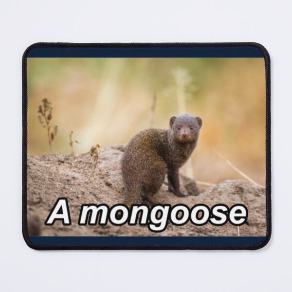 Item preview, A Mongoose (Amogus)     designed and sold by saplaying12.
