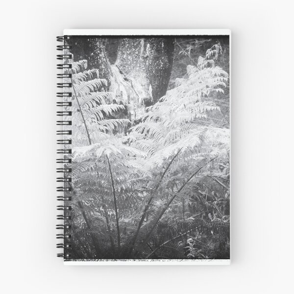 Item preview, Ferns - Katoomba Reserve - Blackand White designed and sold by Salieri1627.