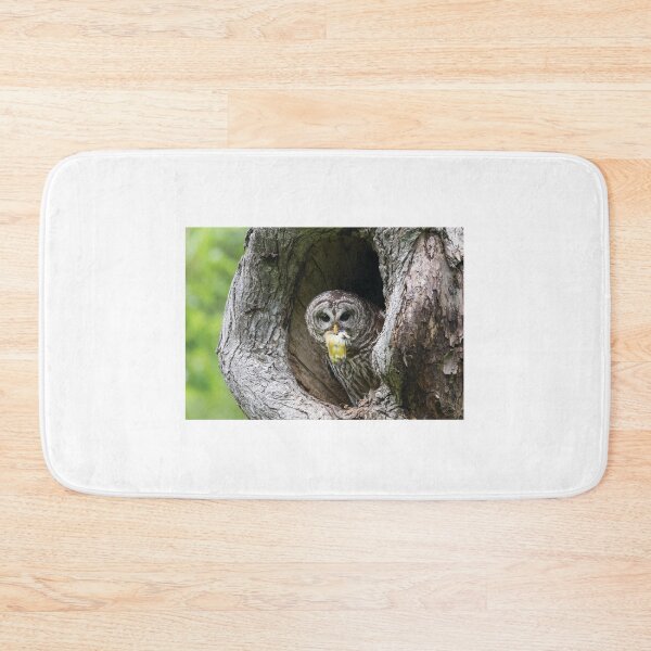 Item preview, Shades of Emotions - Nature Always Wins designed and sold by Puttaswamy Ravishankar.