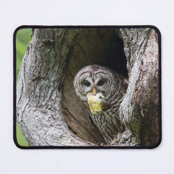 Item preview, Shades of Emotions - Nature Always Wins designed and sold by Puttaswamy Ravishankar.