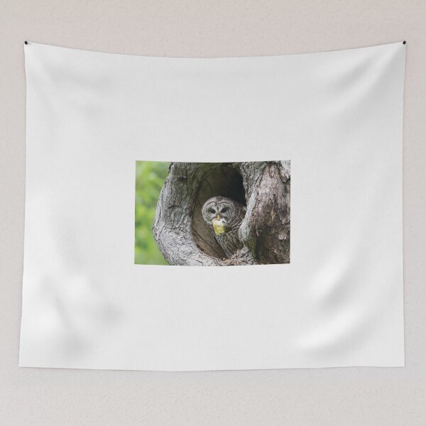 Item preview, Shades of Emotions - Nature Always Wins designed and sold by Puttaswamy Ravishankar.