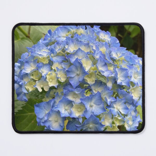 Item preview, Blue Hydrangea designed and sold by Jane Izzy Designs.