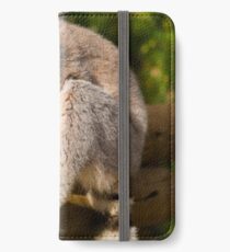 Hungry Lemur iPhone Wallet/Case/Skin