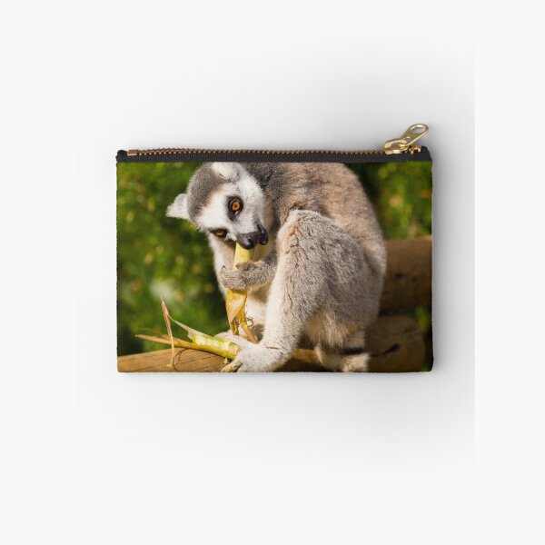 Artikelvorschau, Hungriger Lemur entworfen und verkauft von Joe Tiedeman.